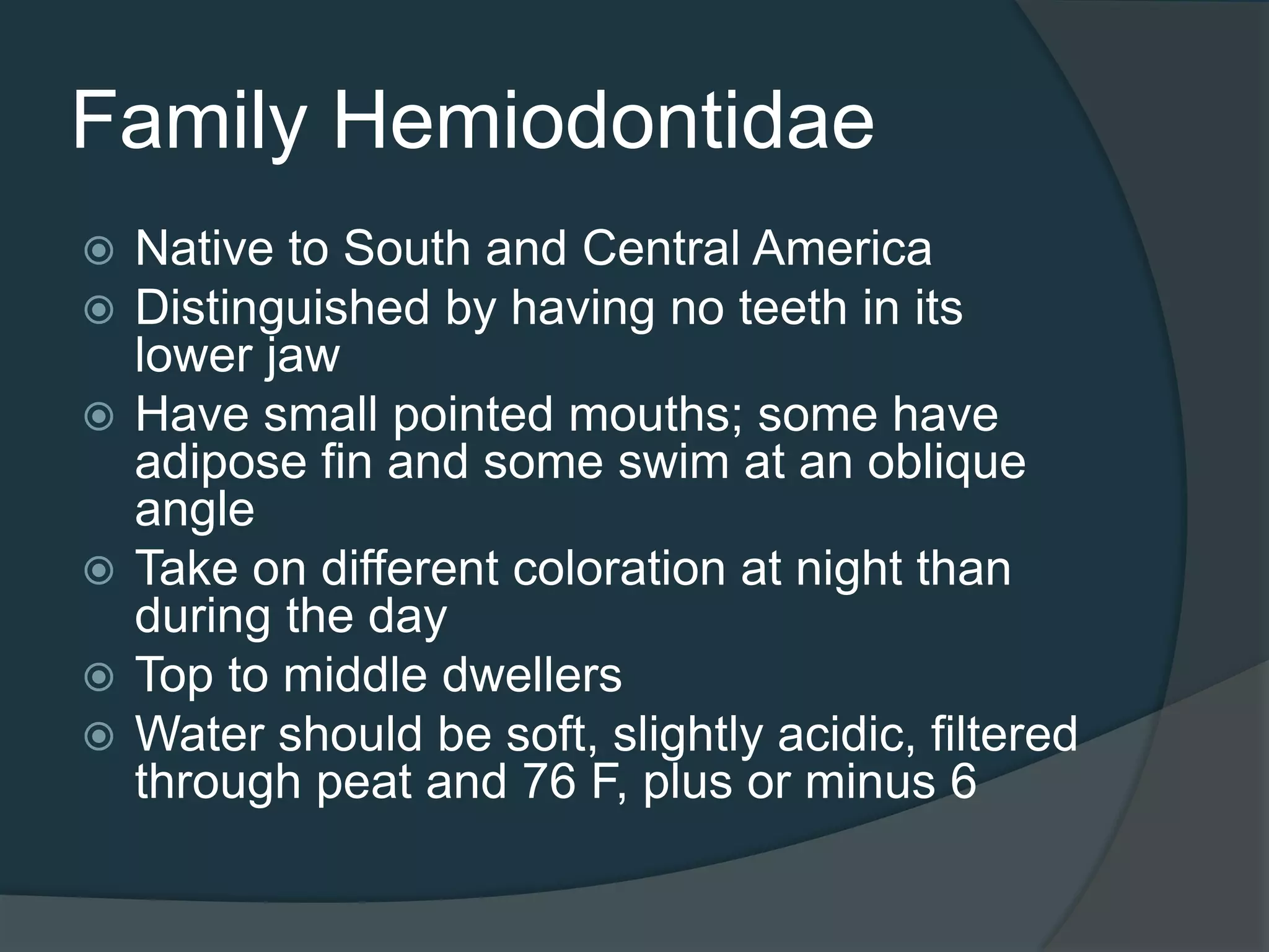 Family Hemiodontidae
 Native to South and Central America
 Distinguished by having no teeth in its
lower jaw
 Have small pointed mouths; some have
adipose fin and some swim at an oblique
angle
 Take on different coloration at night than
during the day
 Top to middle dwellers
 Water should be soft, slightly acidic, filtered
through peat and 76 F, plus or minus 6
 