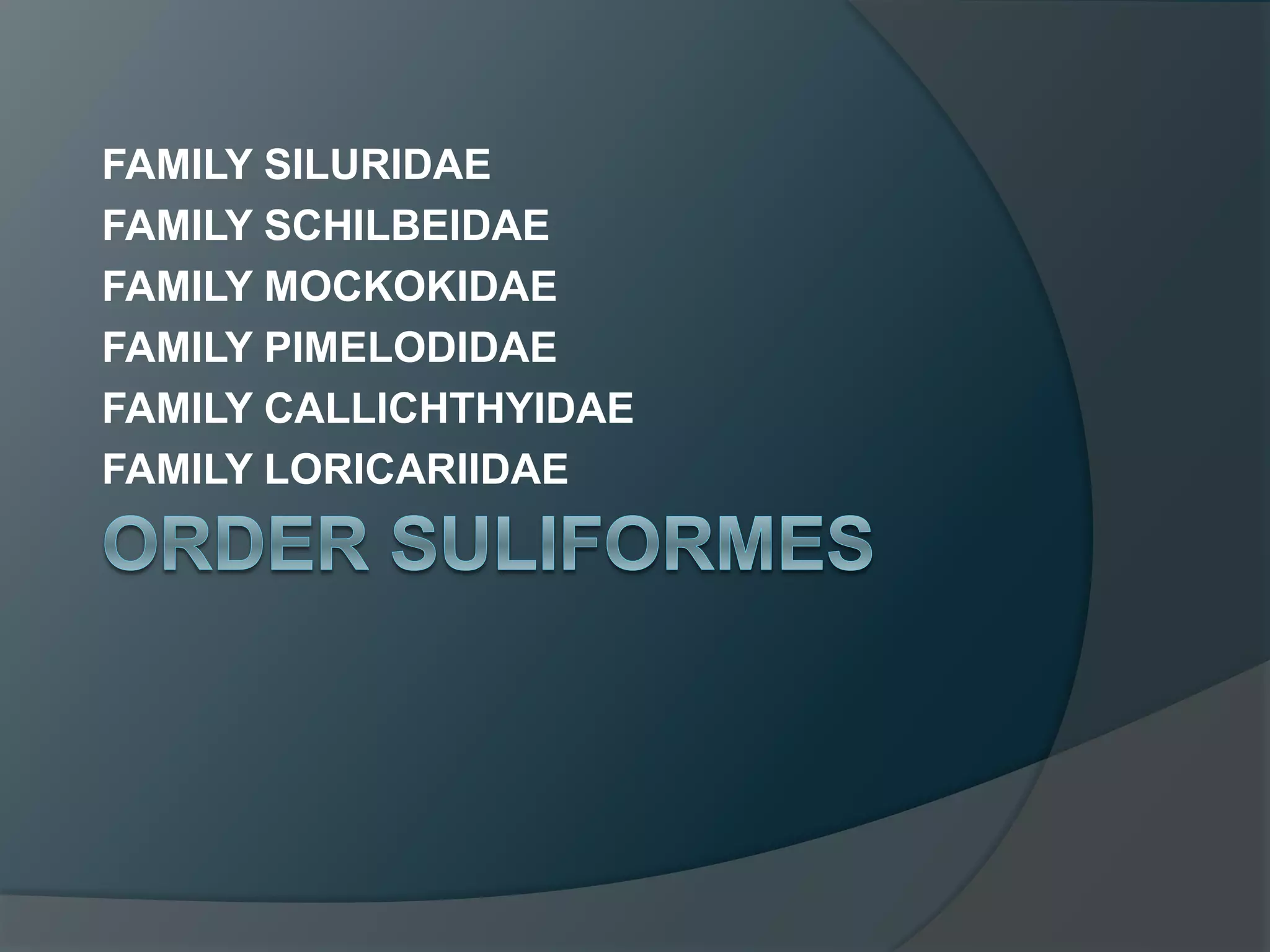 FAMILY SILURIDAE
FAMILY SCHILBEIDAE
FAMILY MOCKOKIDAE
FAMILY PIMELODIDAE
FAMILY CALLICHTHYIDAE
FAMILY LORICARIIDAE
 