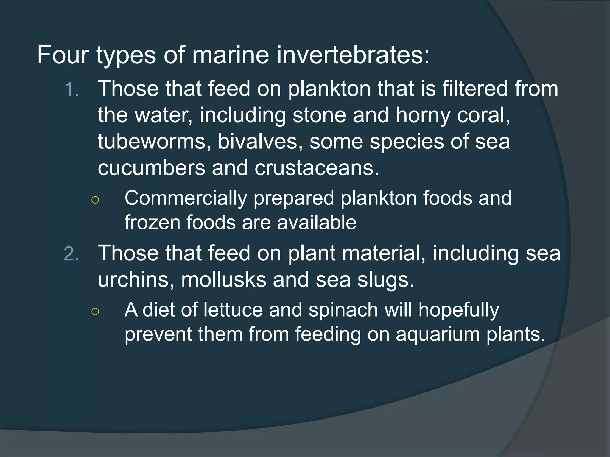 Four types of marine invertebrates:
1. Those that feed on plankton that is filtered from
the water, including stone and horny coral,
tubeworms, bivalves, some species of sea
cucumbers and crustaceans.
○ Commercially prepared plankton foods and
frozen foods are available
2. Those that feed on plant material, including sea
urchins, mollusks and sea slugs.
○ A diet of lettuce and spinach will hopefully
prevent them from feeding on aquarium plants.
 