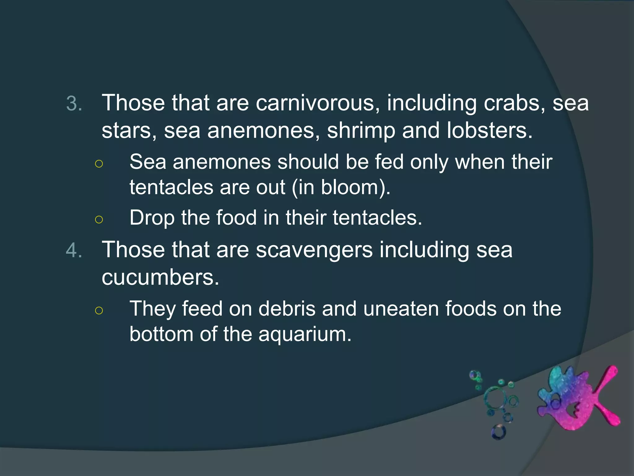 3. Those that are carnivorous, including crabs, sea
stars, sea anemones, shrimp and lobsters.
○ Sea anemones should be fed only when their
tentacles are out (in bloom).
○ Drop the food in their tentacles.
4. Those that are scavengers including sea
cucumbers.
○ They feed on debris and uneaten foods on the
bottom of the aquarium.
 