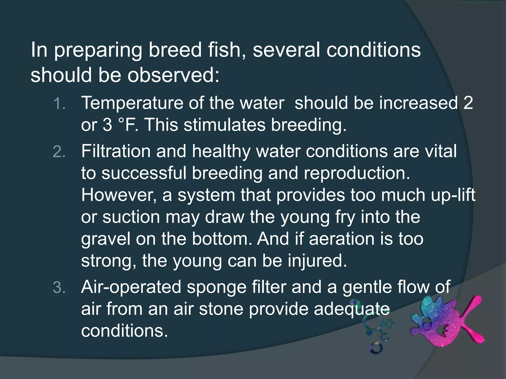 In preparing breed fish, several conditions
should be observed:
1. Temperature of the water should be increased 2
or 3 °F. This stimulates breeding.
2. Filtration and healthy water conditions are vital
to successful breeding and reproduction.
However, a system that provides too much up-lift
or suction may draw the young fry into the
gravel on the bottom. And if aeration is too
strong, the young can be injured.
3. Air-operated sponge filter and a gentle flow of
air from an air stone provide adequate
conditions.
 