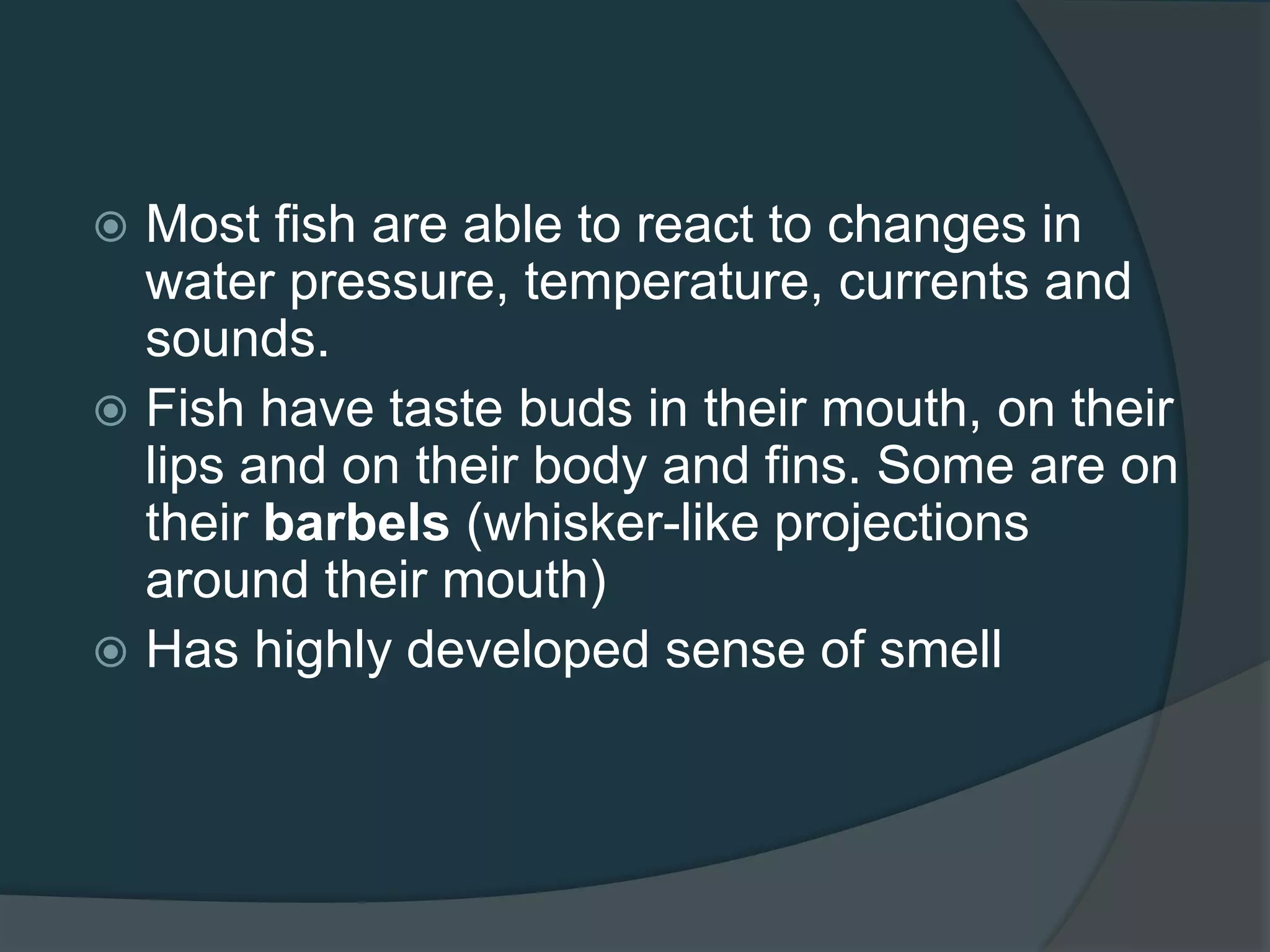  Most fish are able to react to changes in
water pressure, temperature, currents and
sounds.
 Fish have taste buds in their mouth, on their
lips and on their body and fins. Some are on
their barbels (whisker-like projections
around their mouth)
 Has highly developed sense of smell
 