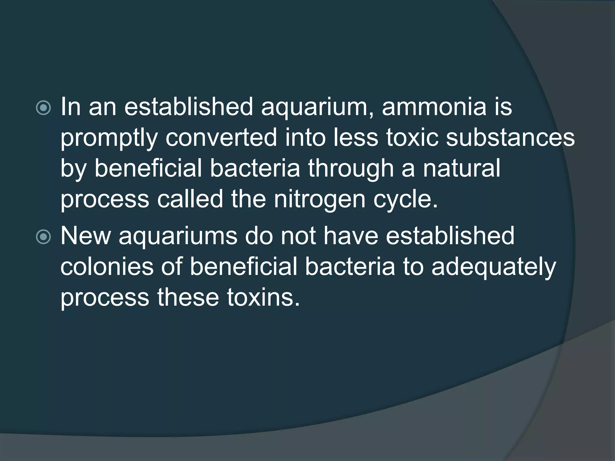  In an established aquarium, ammonia is
promptly converted into less toxic substances
by beneficial bacteria through a natural
process called the nitrogen cycle.
 New aquariums do not have established
colonies of beneficial bacteria to adequately
process these toxins.
 