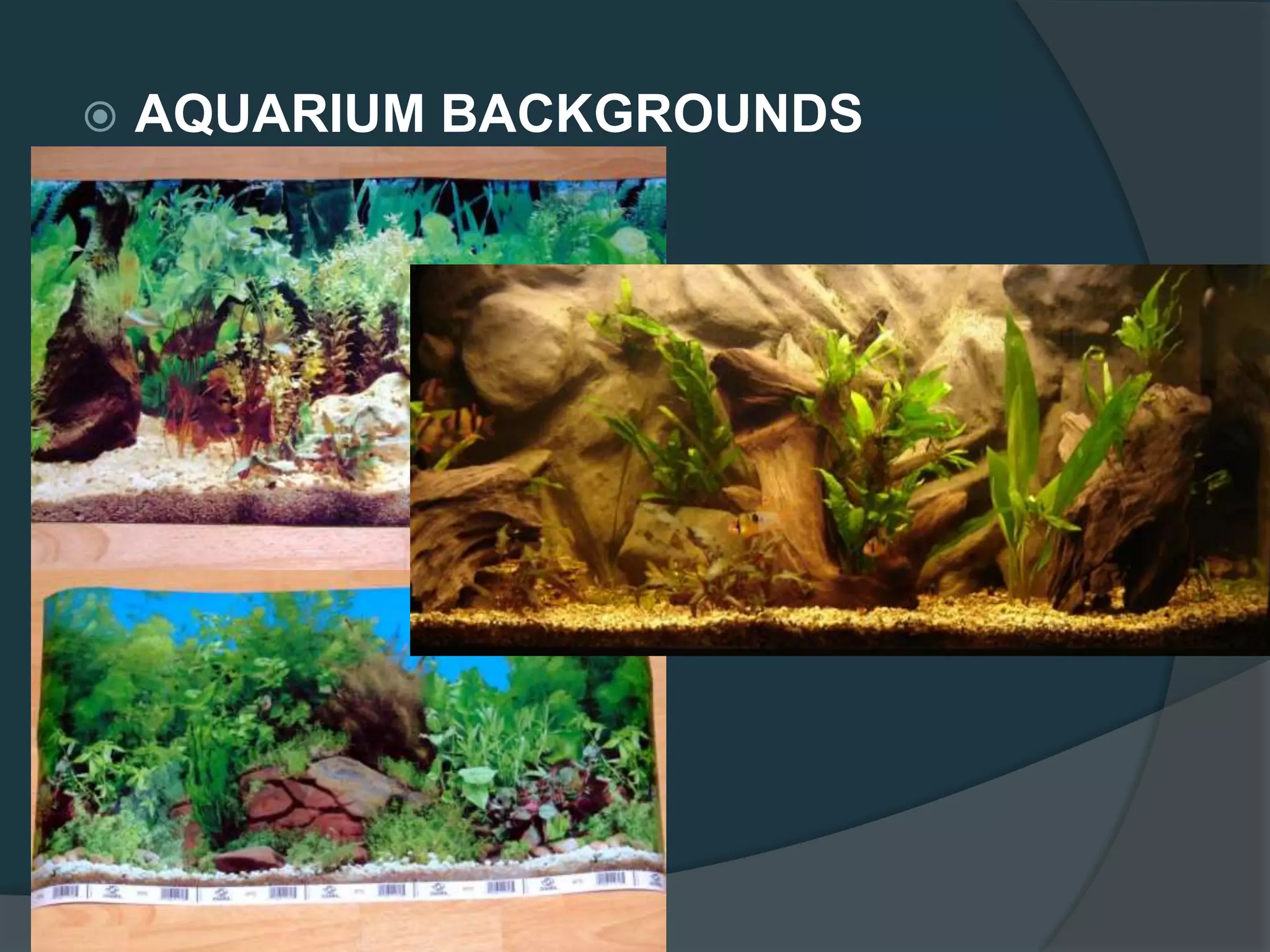  AQUARIUM BACKGROUNDS
 