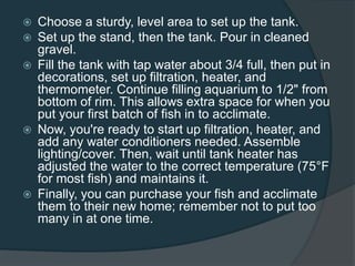  Choose a sturdy, level area to set up the tank.
 Set up the stand, then the tank. Pour in cleaned
gravel.
 Fill the tank with tap water about 3/4 full, then put in
decorations, set up filtration, heater, and
thermometer. Continue filling aquarium to 1/2" from
bottom of rim. This allows extra space for when you
put your first batch of fish in to acclimate.
 Now, you're ready to start up filtration, heater, and
add any water conditioners needed. Assemble
lighting/cover. Then, wait until tank heater has
adjusted the water to the correct temperature (75°F
for most fish) and maintains it.
 Finally, you can purchase your fish and acclimate
them to their new home; remember not to put too
many in at one time.
 