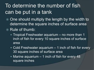 To determine the number of fish
can be put in a tank
 One should multiply the length by the width to
determine the square inches of surface area
 Rule of thumb:
 Tropical Freshwater aquarium – no more than 1
inch of fish for every 10 square inches of surface
area
 Cold Freshwater aquarium – 1 inch of fish for every
30 square inches of surface area
 Marine aquarium – 1 inch of fish for every 48
square inches
 