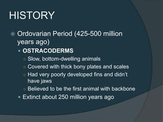 HISTORY
 Ordovarian Period (425-500 million
years ago)
 OSTRACODERMS
○ Slow, bottom-dwelling animals
○ Covered with thick bony plates and scales
○ Had very poorly developed fins and didn’t
have jaws
○ Believed to be the first animal with backbone
 Extinct about 250 million years ago
 