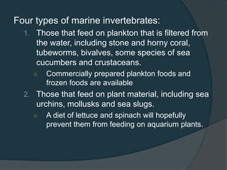 Four types of marine invertebrates:
1. Those that feed on plankton that is filtered from
the water, including stone and horny coral,
tubeworms, bivalves, some species of sea
cucumbers and crustaceans.
○ Commercially prepared plankton foods and
frozen foods are available
2. Those that feed on plant material, including sea
urchins, mollusks and sea slugs.
○ A diet of lettuce and spinach will hopefully
prevent them from feeding on aquarium plants.
 