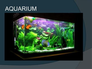 AQUARIUM
 The term combines the Latin root aqua,
meaning water, with the suffix -arium,
meaning "a place for relating to“
 