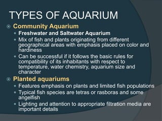 TYPES OF AQUARIUM
 Community Aquarium
 Freshwater and Saltwater Aquarium
 Mix of fish and plants originating from different
geographical areas with emphasis placed on color and
hardiness
 Can be successful if it follows the basic rules for
compatibility of its inhabitants with respect to
temperature, water chemistry, aquarium size and
character
 Planted aquariums
 Features emphasis on plants and limited fish populations
 Typical fish species are tetras or rasboras and some
angelfish
 Lighting and attention to appropriate filtration media are
important details
 