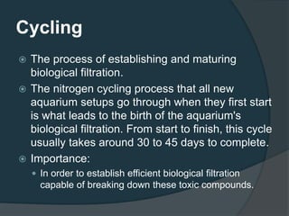 Cycling
 The process of establishing and maturing
biological filtration.
 The nitrogen cycling process that all new
aquarium setups go through when they first start
is what leads to the birth of the aquarium's
biological filtration. From start to finish, this cycle
usually takes around 30 to 45 days to complete.
 Importance:
 In order to establish efficient biological filtration
capable of breaking down these toxic compounds.
 