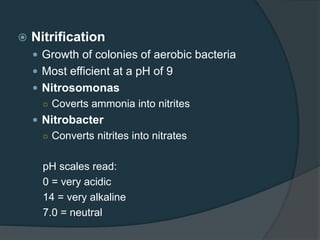  Nitrification
 Growth of colonies of aerobic bacteria
 Most efficient at a pH of 9
 Nitrosomonas
○ Coverts ammonia into nitrites
 Nitrobacter
○ Converts nitrites into nitrates
pH scales read:
0 = very acidic
14 = very alkaline
7.0 = neutral
 