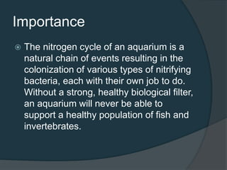 Importance
 The nitrogen cycle of an aquarium is a
natural chain of events resulting in the
colonization of various types of nitrifying
bacteria, each with their own job to do.
Without a strong, healthy biological filter,
an aquarium will never be able to
support a healthy population of fish and
invertebrates.
 