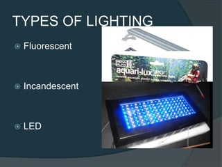 TYPES OF LIGHTING
 Fluorescent
 Incandescent
 LED
 