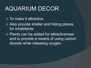  To make it attractive
 Also provide shelter and hiding places
for inhabitants
 Plants can be added for attractiveness
and to provide a means of using carbon
dioxide while releasing oxygen
AQUARIUM DECOR
 