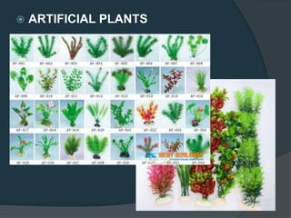  ARTIFICIAL PLANTS
 