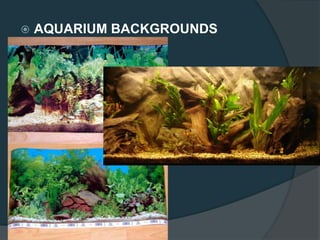  AQUARIUM BACKGROUNDS
 