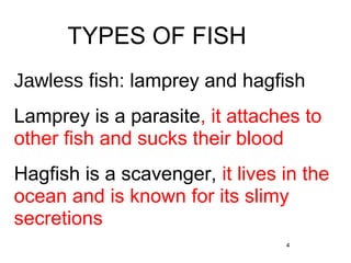 4
TYPES OF FISH
Jawless fish: lamprey and hagfish
Lamprey is a parasite, it attaches to
other fish and sucks their blood
Hagfish is a scavenger, it lives in the
ocean and is known for its slimy
secretions
 