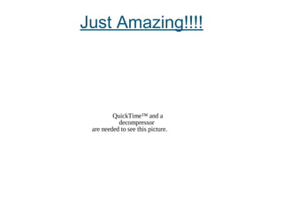 Just Amazing!!!!
QuickTime™ and a
decompressor
are needed to see this picture.
 