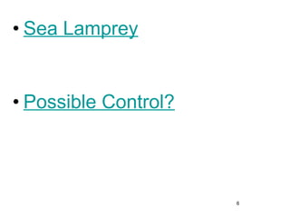 6
• Sea Lamprey
• Possible Control?
 