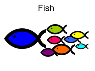 Fish
 