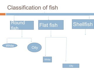 Classification of fish
Round
fish

White

Flat fish

Shellfish

Oily

White
Oily

 
