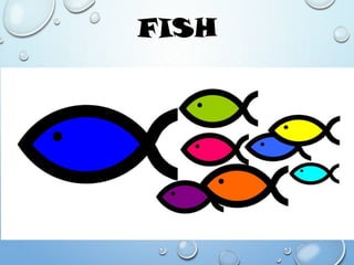FISH
 