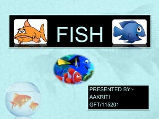 FISH
PRESENTED BY:-
AAKRITI
GFT/115201
 