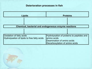 Fish | PPTX