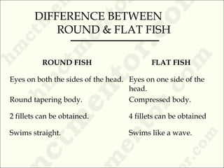 ROUND FISH FLAT FISH
Eyes on both the sides of the head. Eyes on one side of the
head.
Round tapering body. Compressed body.
2 fillets can be obtained. 4 fillets can be obtained
Swims straight. Swims like a wave.
DIFFERENCE BETWEEN
ROUND & FLAT FISH
 