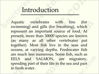 Aquatic vertebrates with fins (for
swimming) and gills (for breathing), which
represent an important source of food. At
present, more than 30000 species are known
(as many as all other vertebrates put
together). Most fish live in the seas and
oceans, at varying depths. Freshwater fish
are much less numerous. Some fish, such as
EELS and SALMON, are migratory,
spending part of their life in the sea and part
in fresh water.
Introduction
 