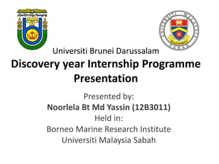 Universiti Brunei Darussalam 
Discovery year Internship Programme 
Presentation 
Presented by: 
Noorlela Bt Md Yassin (12B3011) 
Held in: 
Borneo Marine Research Institute 
Universiti Malaysia Sabah 
 