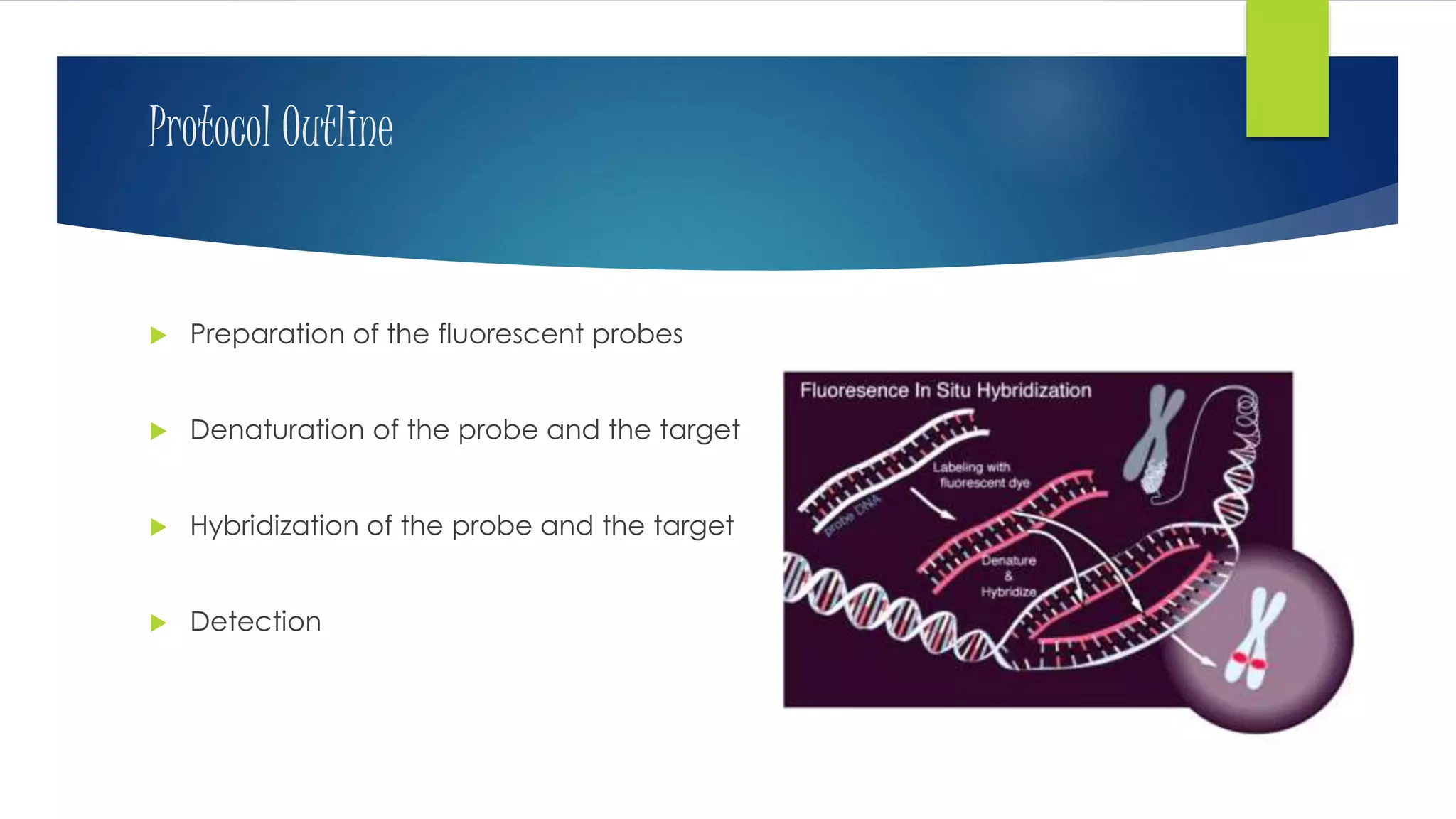 Fish(flourescent in-situ hybridization) | PPTX | Genetics | Science