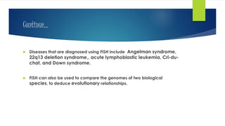 Continue…
 Diseases that are diagnosed using FISH include Angelman syndrome,
22q13 deletion syndrome,, acute lymphoblastic leukemia, Cri-du-
chat, and Down syndrome.
 FISH can also be used to compare the genomes of two biological
species, to deduce evolutionary relationships.
 