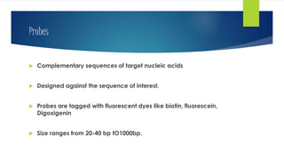 Probes
 Complementary sequences of target nucleic acids
 Designed against the sequence of interest.
 Probes are tagged with fluorescent dyes like biotin, fluorescein,
Digoxigenin
 Size ranges from 20-40 bp tO1000bp.
 