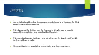 APPLICATION
 Use to detect and localize the presence and absence of the specific DNA
sequences on chormosomes.
 FISH often used for finding specific features in DNA for use in genetic
counselling, medicine, and species identification.
 FISH can also be used to detect and localize specific RNA target (mRNA,
IncRNA, miRNA) in cells.
 Also used to detect circulating tumor cells, and tissues samples.
 