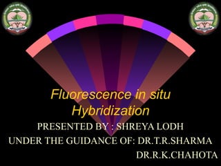 Fluorescence in situ
Hybridization
PRESENTED BY : SHREYA LODH
UNDER THE GUIDANCE OF: DR.T.R.SHARMA
DR.R.K.CHAHOTA
 