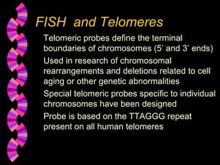 FISH and Telomeres
Telomeric probes define the terminal
boundaries of chromosomes (5’ and 3’ ends)
Used in research of chromosomal
rearrangements and deletions related to cell
aging or other genetic abnormalities
Special telomeric probes specific to individual
chromosomes have been designed
Probe is based on the TTAGGG repeat
present on all human telomeres
 