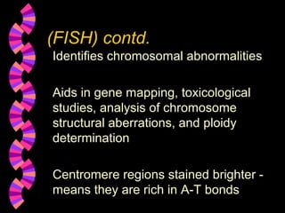 (FISH) contd.
Identifies chromosomal abnormalities
Aids in gene mapping, toxicological
studies, analysis of chromosome
structural aberrations, and ploidy
determination
Centromere regions stained brighter -
means they are rich in A-T bonds
 