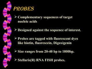 Probes
 Complementary sequences of target
nucleic acids
 Designed against the sequence of interest.
 Probes are tagged with fluorescent dyes
like biotin, fluorescein, Digoxigenin
 Size ranges from 20-40 bp to 1000bp.
 Stellaris(R) RNA FISH probes.
 