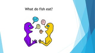 What do fish eat?
 