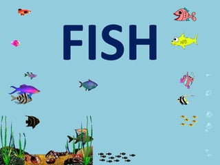 FISH
 