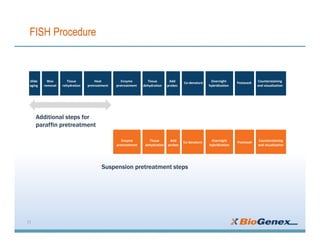 FISH Procedure
11
Slide
aging
Wax
removal
Tissue
rehydration
Heat
pretreatment
Enzyme
pretreatment
Tissue
dehydration
Add
probes
Co-denature Overnight
hybridization
Postwash Counterstaining
and visualisation
Enzyme
pretreatment
Tissue
dehydration
Add
probes
Co-denature Overnight
hybridization
Postwash Counterstaining
and visualisation
Additional steps for
paraffin pretreatment
Suspension pretreatment steps
 