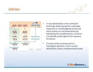 Definition
• In situ hybridization is the method of
localizing/ detecting specific nucleotide
sequences in morphologically preserved
tissue sections or cell preparations by
hybridizing the complementary strand of
a nucleotide probe against the sequence
of interest.
• If nucleic acids are preserved in a
histological specimen, then it can be
detected by using a complementary probe
3
 