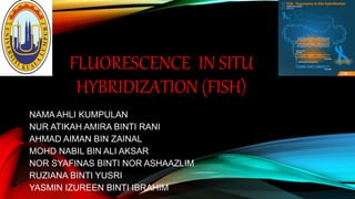 FLUORESCENCE IN SITU
HYBRIDIZATION (FISH)
NAMA AHLI KUMPULAN
NUR ATIKAH AMIRA BINTI RANI
AHMAD AIMAN BIN ZAINAL
MOHD NABIL BIN ALI AKSAR
NOR SYAFINAS BINTI NOR ASHAAZLIM
RUZIANA BINTI YUSRI
YASMIN IZUREEN BINTI IBRAHIM
 