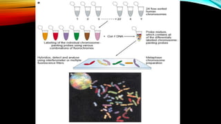Fluorescence in situ hybridization (FISH) | PPTX