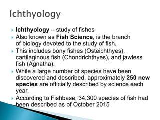  Ichthyology – study of fishes
 Also known as Fish Science, is the branch
of biology devoted to the study of fish.
 This includes bony fishes (Osteichthyes),
cartilaginous fish (Chondrichthyes), and jawless
fish (Agnatha).
 While a large number of species have been
discovered and described, approximately 250 new
species are officially described by science each
year.
 According to Fishbase, 34,300 species of fish had
been described as of October 2015
 
