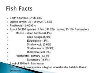  Earth’s surface- 510M km2
 Ocean covers- 361 M km2 (70.8%)
 Freshwater- 0.0093%
 About 34,300 species of fish ( 58.2%- marine, 33.1%- freshwater)
 Marine - deep benthic (6.4%)
 deep pelagic (5.0%)
 Epipelagic (1.3%)
 Shallow cold (5.6%)
 Shallow warm (39.9%)
 Diadromous (0.6%)
 Freshwater- primary (33.1%)
 Secondary ( 8.1%)
 4 out of 10 live in freshwater
 Formation of new species is higher in freshwater habitats than in
seawater
 