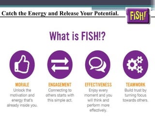 Catch the Energy and Release Your Potential.
 