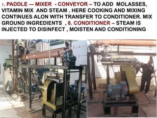 7. PADDLE –- MIXER - CONVEYOR – TO ADD MOLASSES,
VITAMIN MIX AND STEAM . HERE COOKING AND MIXING
CONTINUES ALON WITH TRANSFER TO CONDITIONER. MIX
GROUND INGREDIENTS , 8. CONDITIONER – STEAM IS
INJECTED TO DISINFECT , MOISTEN AND CONDITIONING
 